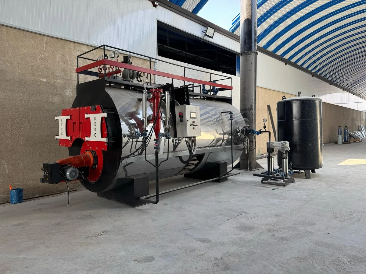 Steam Boiler Service