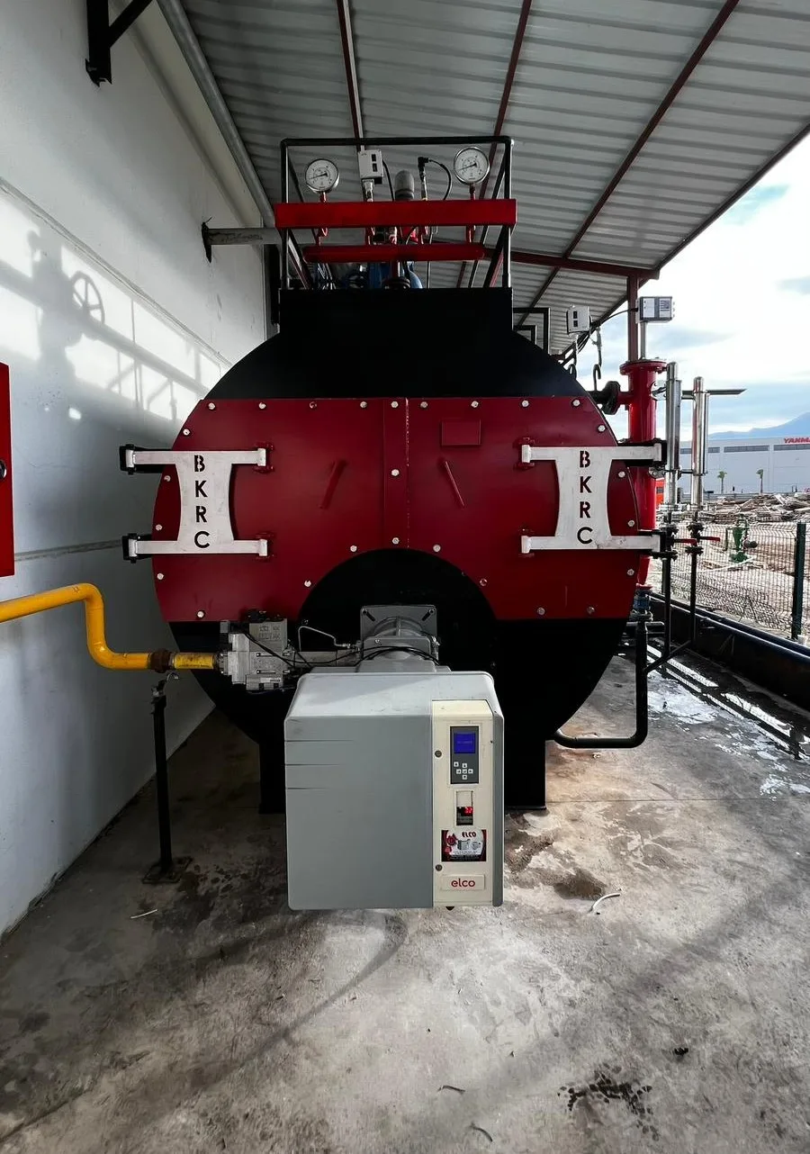 Steam Boiler Service